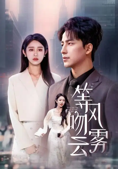 玻璃城手记都市职场剧在线观看视频封面